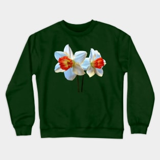 Daffodils - Two White And Orange Daffodils Crewneck Sweatshirt